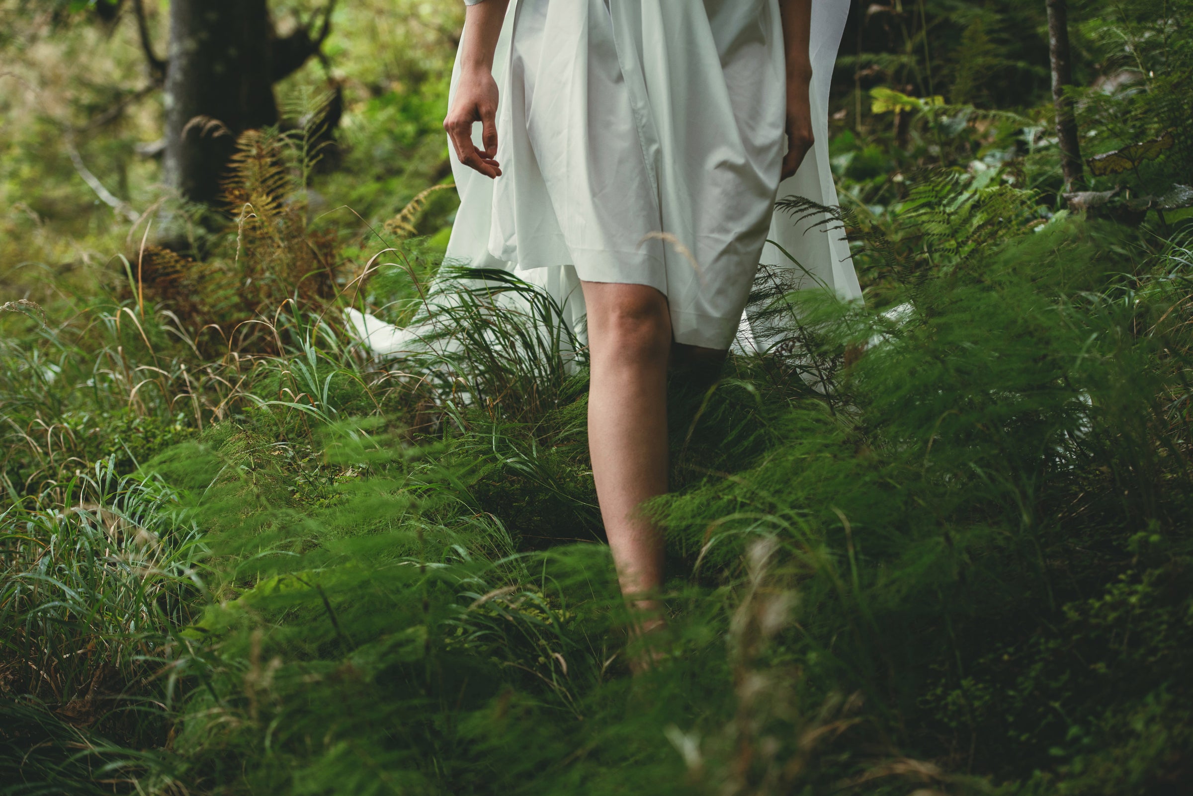The Gaia Collection