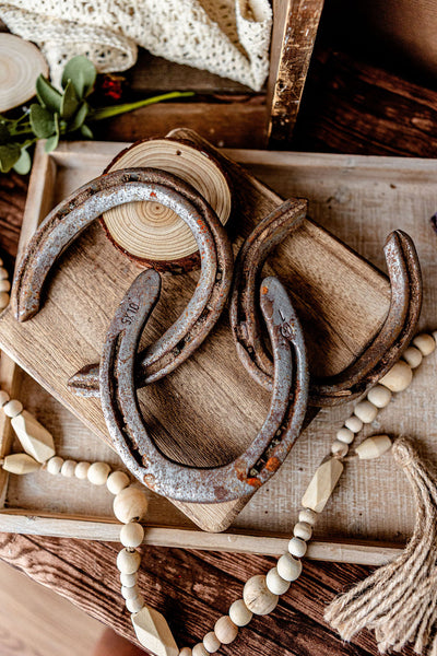 Steel Horseshoes (Set of 2)