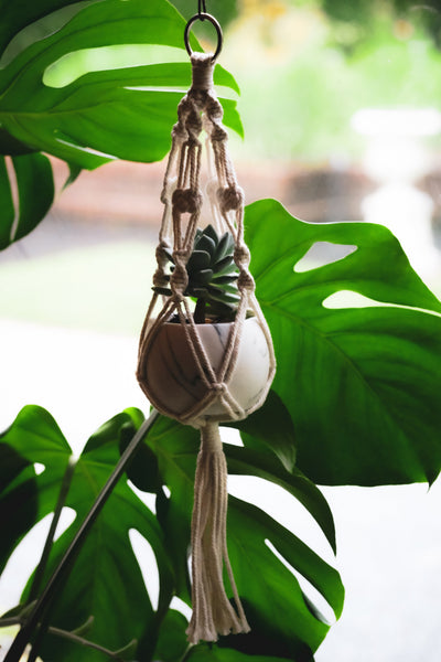 Macrame Plant Holder