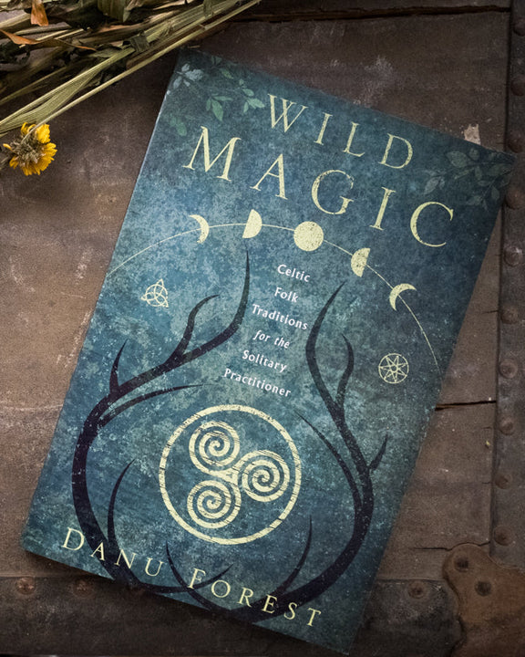Wild Magic Book