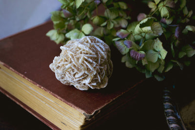 Desert Rose (2 pieces)