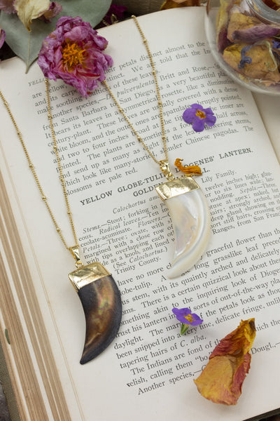 Natural Shell Pendant & Necklace