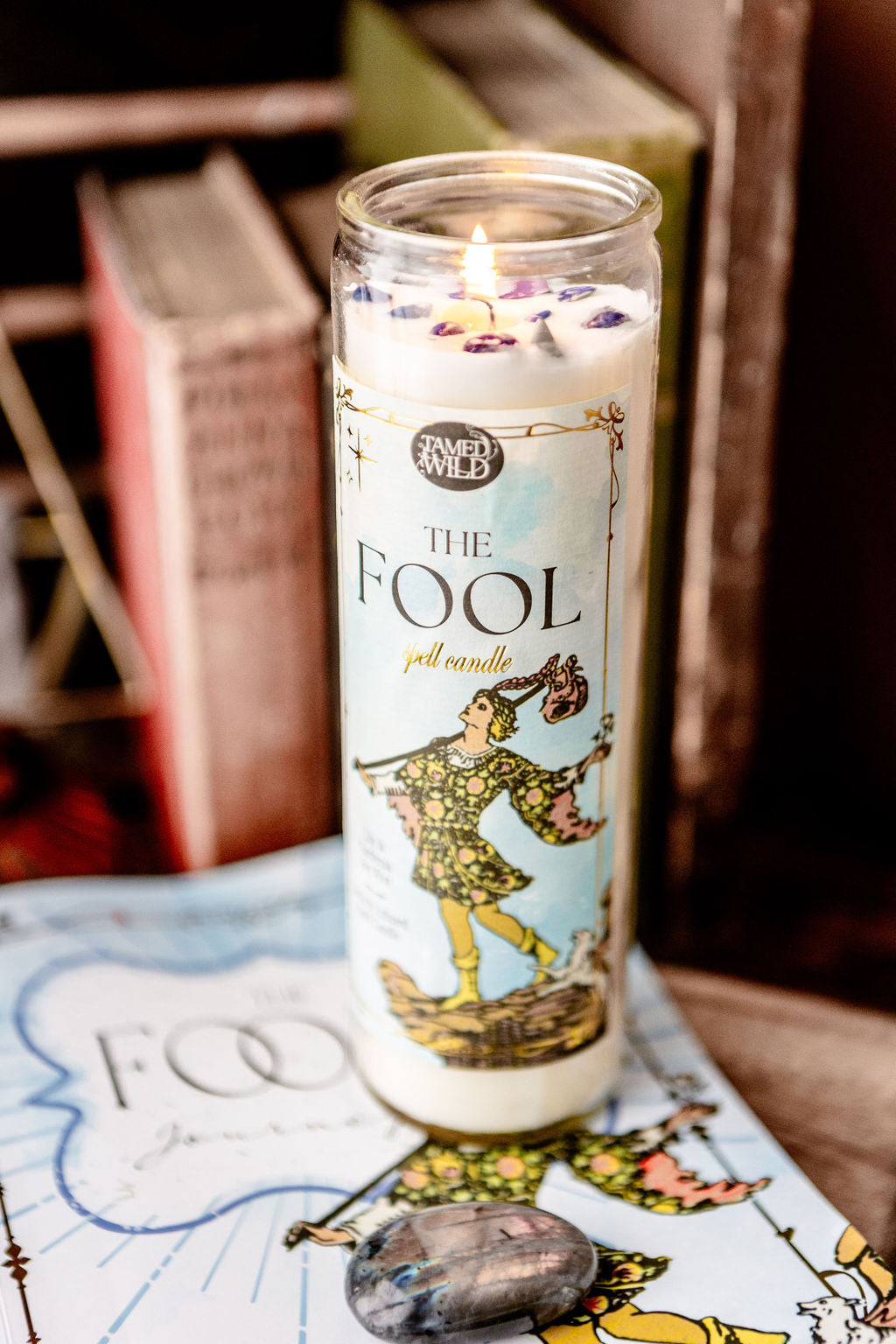 THE FOOL  ザ・フール  キーリング キーチェーン ルード ロスト The Fool Tarot Necklace – Tamed Wild