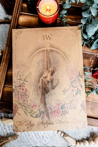 Tamed Wild Grimoire Subscription