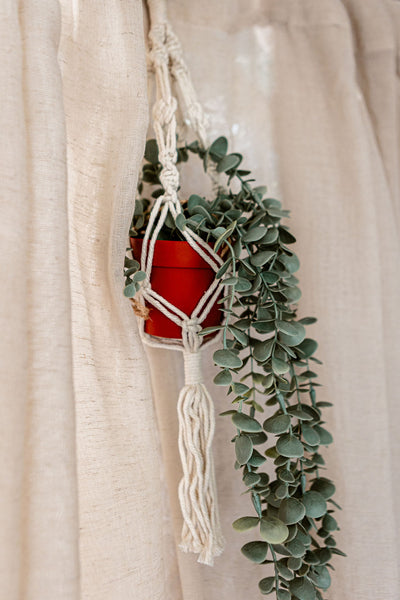 Macrame Plant Holder